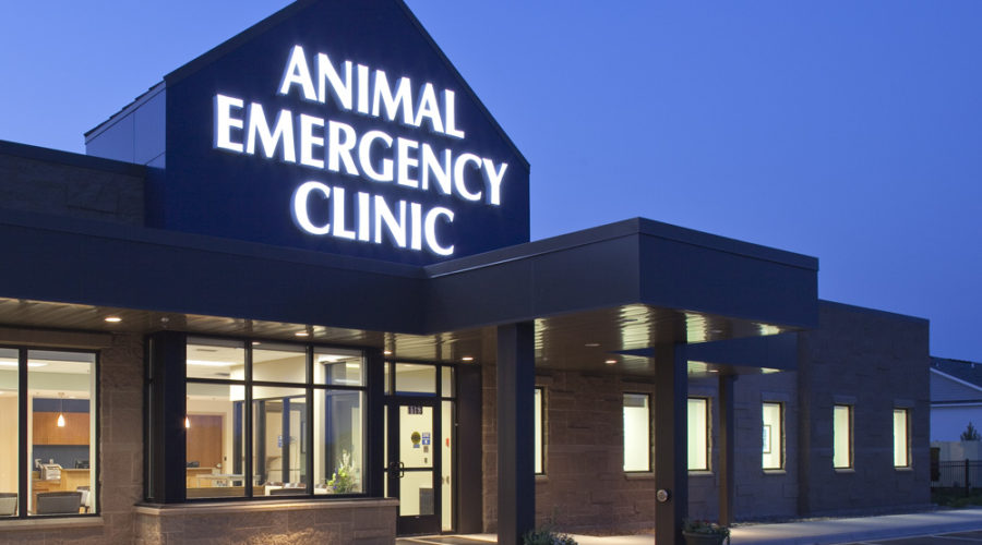 animal emergency centre