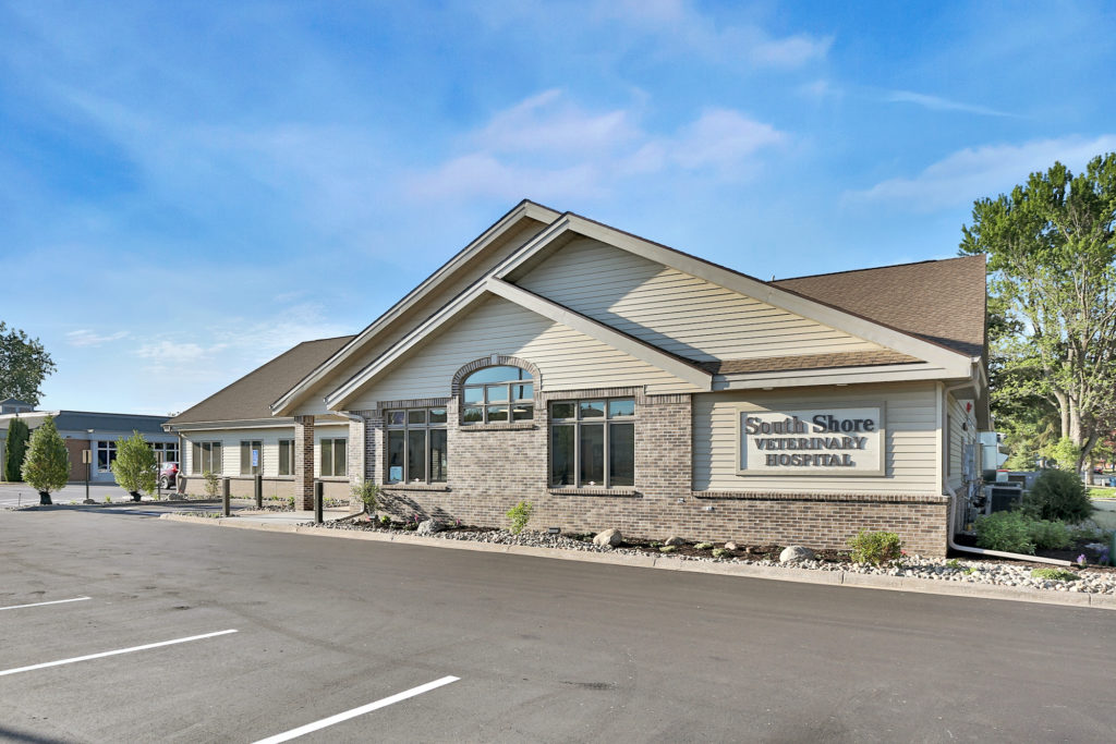South Shore Veterinary Hospital